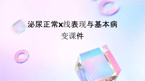 泌尿正常X线表现与基本病变课件
