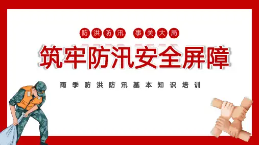夏季防洪防汛专题培训课件 