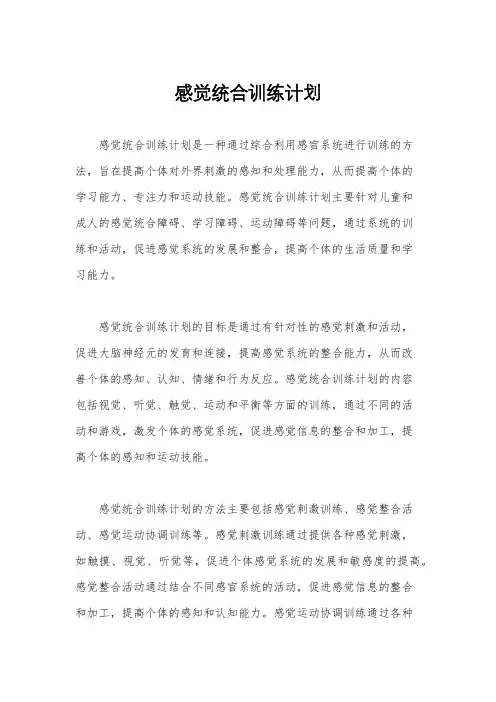 感觉统合训练计划