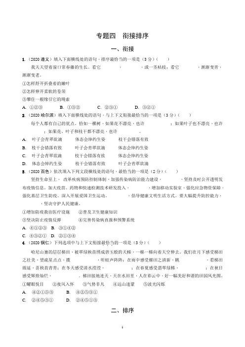 【中考语文】专题四 衔接排序