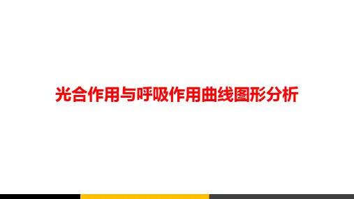 高中生物光合作用与呼吸作用曲线图形分析微课精品课件