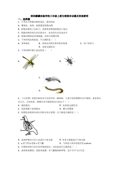 深圳麒麟实验学校八年级上册生物期末试题及答案解答