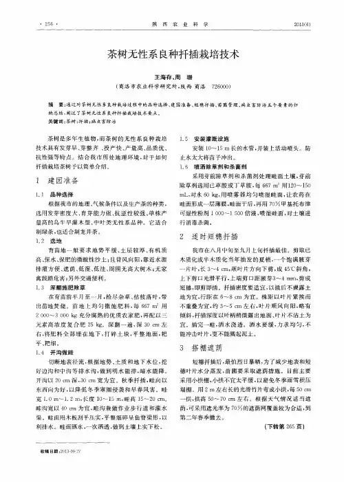 茶树无性系良种扦插栽培技术