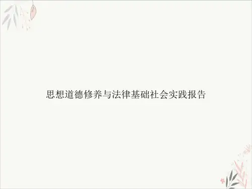 思想道德修养与法律基础社会实践报告课件-PPT