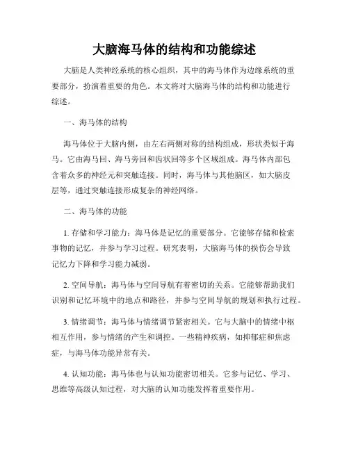 大脑海马体的结构和功能综述