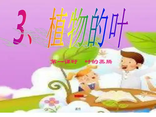 3、叶的蒸腾作用完整版.ppt