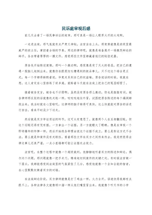 民诉庭审观后感