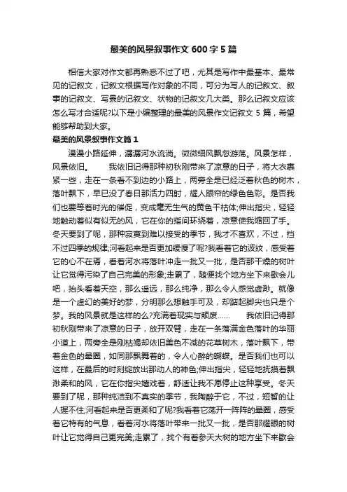最美的风景叙事作文600字5篇