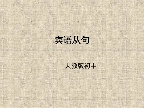 人教版英语九年级宾语从句语法详解