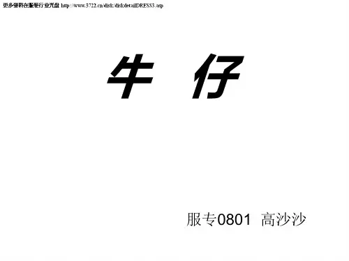 牛仔裤简介(ppt 32)