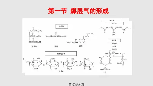 煤层气组成与性质解析PPT课件