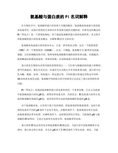 氨基酸与蛋白质的PI名词解释