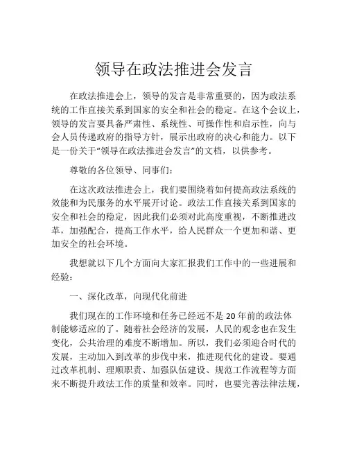 领导在政法推进会发言