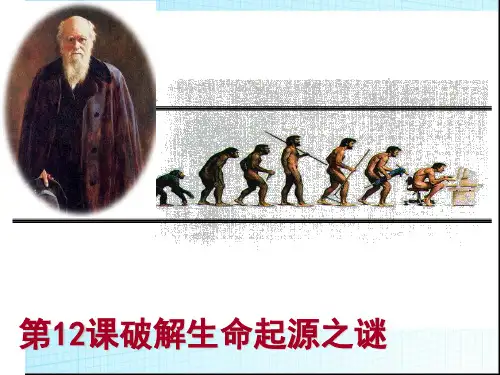 破解生命起源之谜ppt12 人教课标版