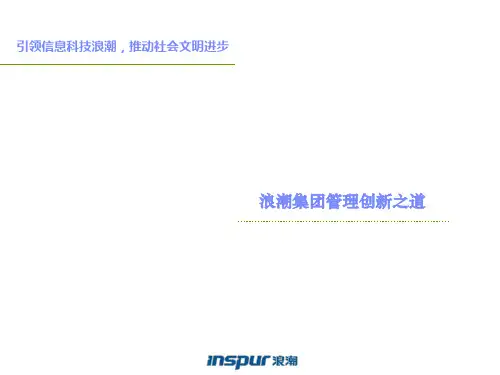 浪潮集团管理创新之道ppt课件