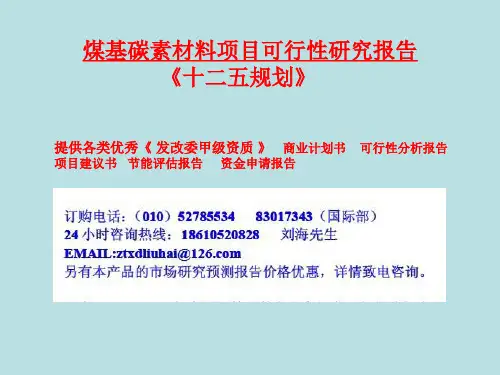 煤基碳素材料项目可行性研究报告