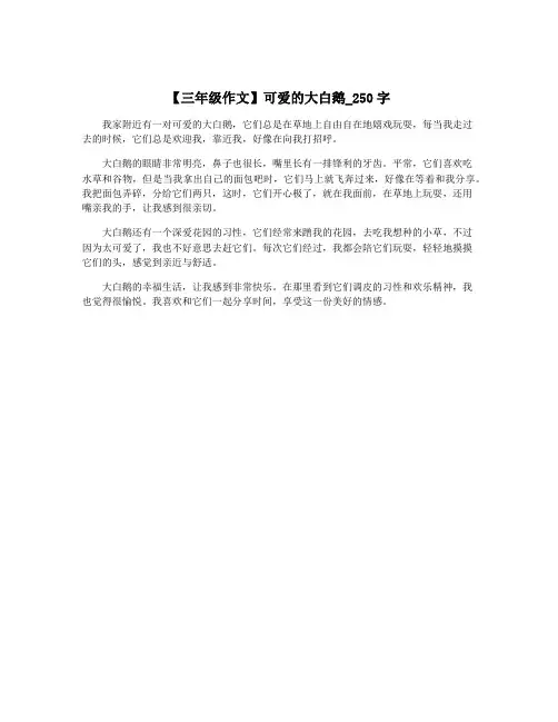 【三年级作文】可爱的大白鹅_250字