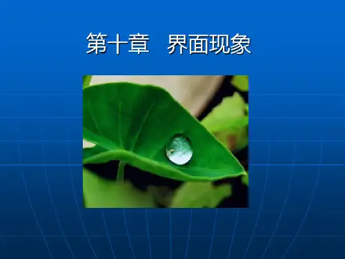 第十章界面现象解析