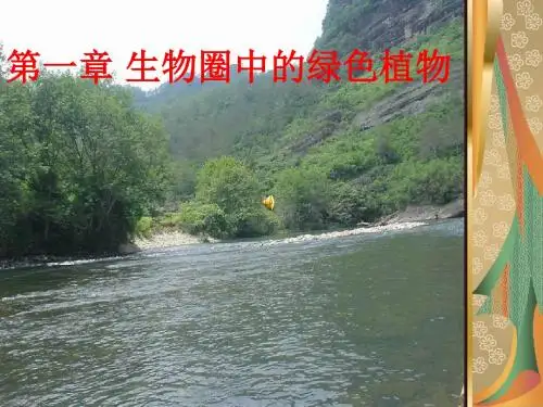 【初中生物】生物圈中的绿色植物PPT课件4