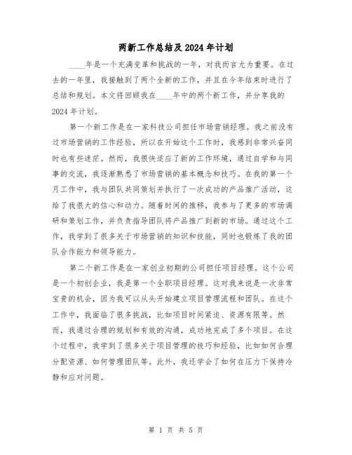 两新工作总结及2024年计划(2篇)
