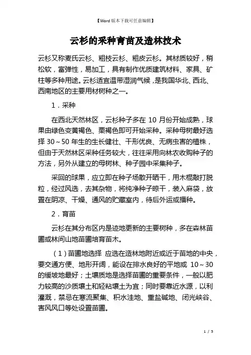 云杉的采种育苗及造林技术