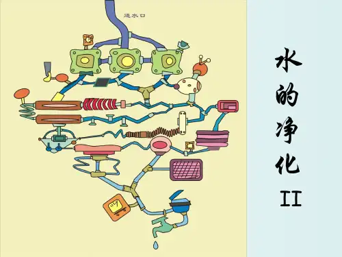 水的净化(PPT课件(初中科学)11)