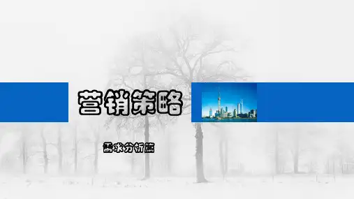 营销策略-需求分析篇