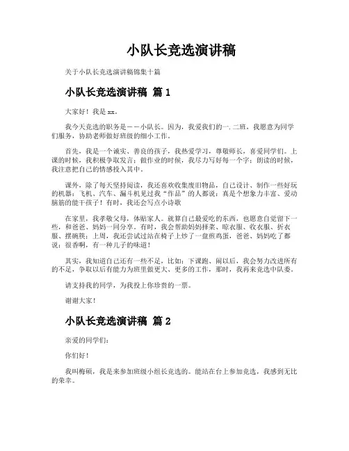 小队长竞选演讲稿