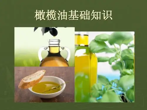 橄榄油基础知识