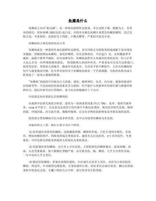 鱼糜是什么