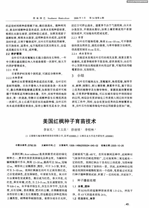美国红枫种子育苗技术