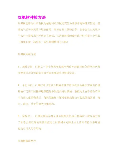 红枫树种植方法