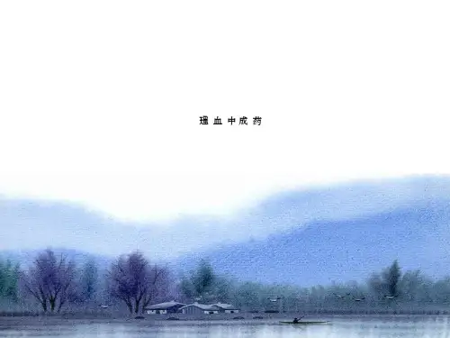 中成药用药指导理血类中成药