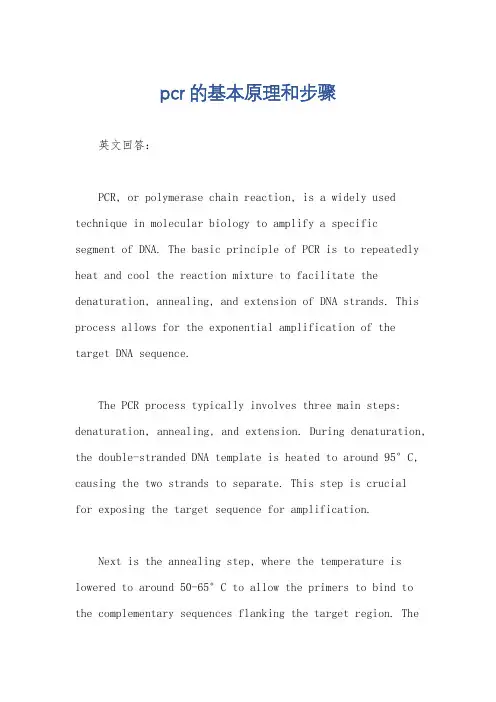 pcr的基本原理和步骤