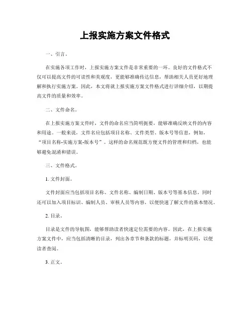 上报实施方案文件格式