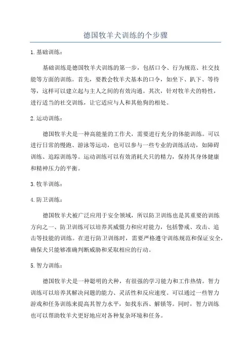 德国牧羊犬训练的个步骤