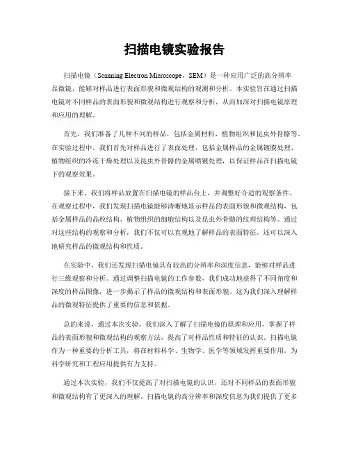 扫描电镜实验报告