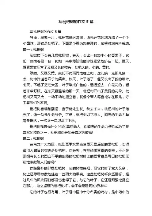 写枇杷树的作文5篇