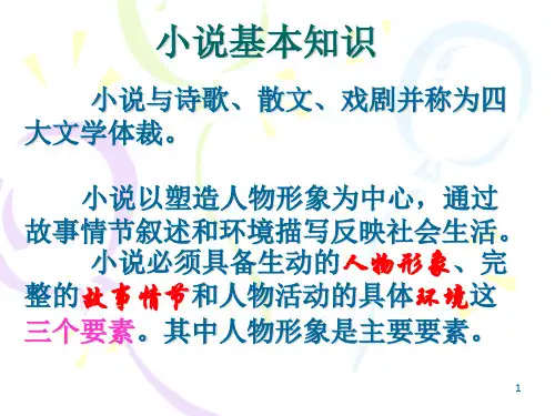 小说基本知识 PPT课件