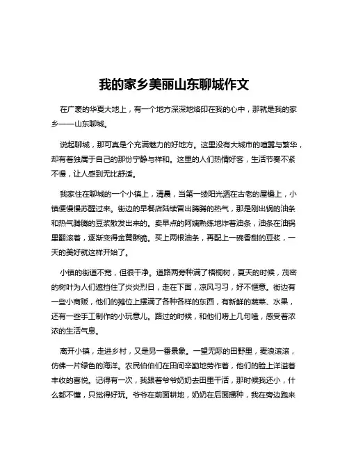 我的家乡美丽山东聊城作文