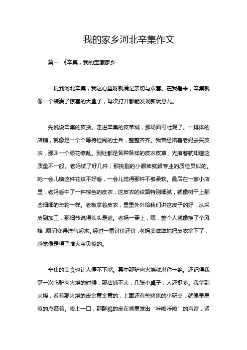 我的家乡河北辛集作文