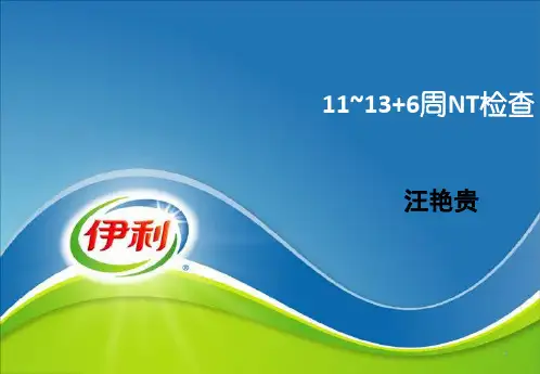 NT检查规范ppt课件