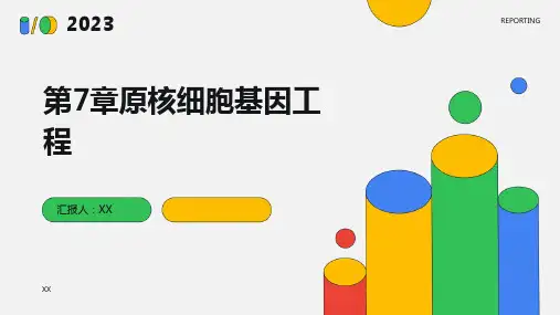 第7章原核细胞基因工程