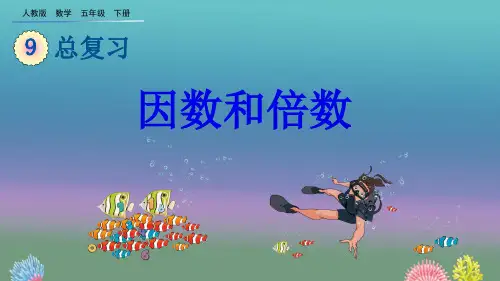 人教版《因数和倍数》优质课件1(共23张PPT)