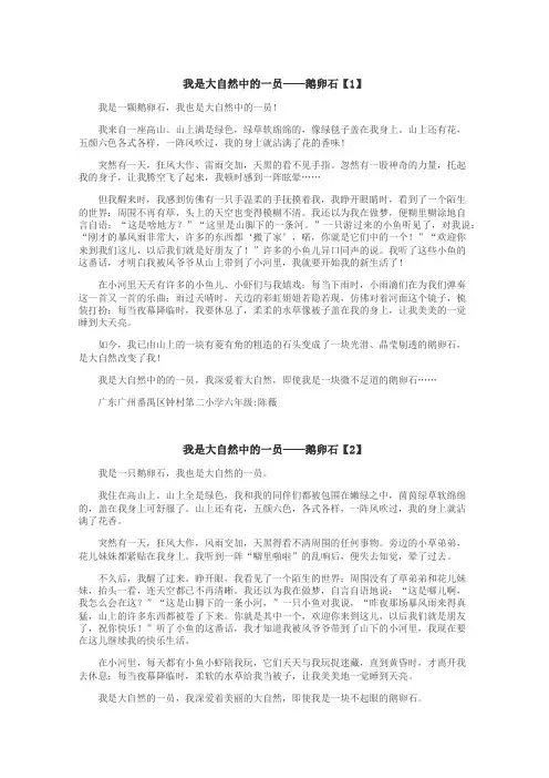 我是大自然中的一员——鹅卵石作文

