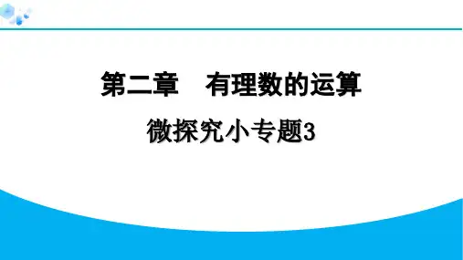 2024年七年级数学上册第二章有理数的运算复习题及答案解析微探究小专题3