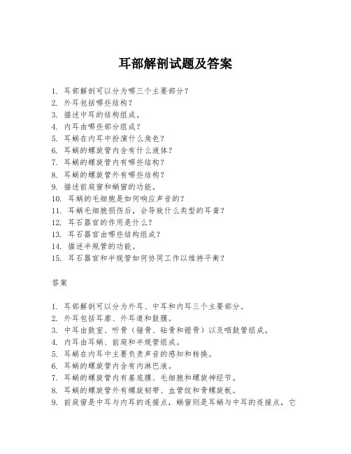 耳部解剖试题及答案