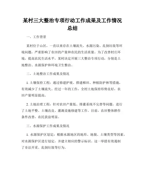 某村三大整治专项行动工作成果及工作情况总结