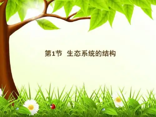 人教版高中生物必修三5.1《生态系统的结构》精品课件 (共29张PPT)