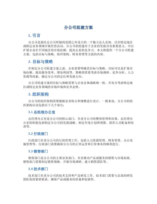 分公司组建方案